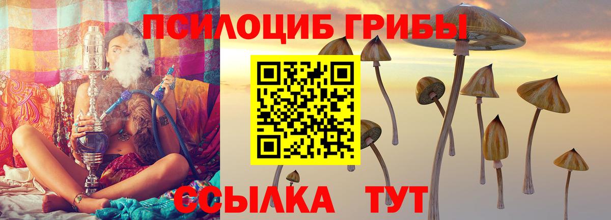 Благодарный  Галлюциногенные грибы MAGIC MUSHROOMS  Вход с VPN  Галлюциногенные грибы GOLDEN TEACHER 